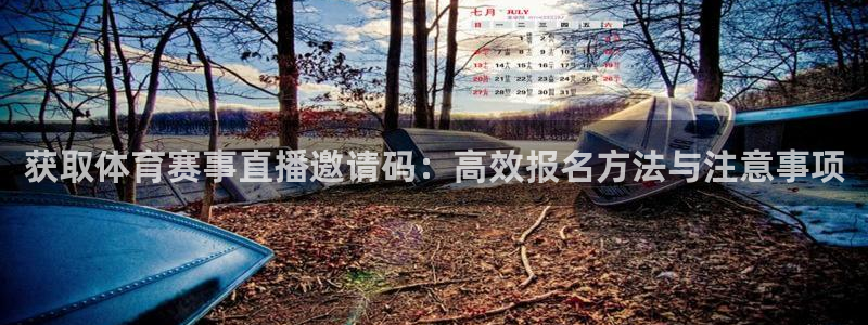 极速nba直播体育直播：获取体育赛事直播邀请码：高效报名方法与注意事项