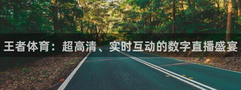 极速直播看球：王者体育：超高清、实时互动的数字直播盛宴