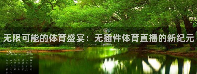 nba直播在线观看免费极速体育：无限可能的体育盛宴：无插件体育直播的新纪元