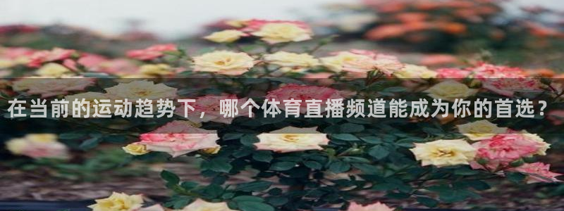 极速nba直播在线观看免费高清：在当前的运动趋势下，哪个体育直播频道能成为你的首选？