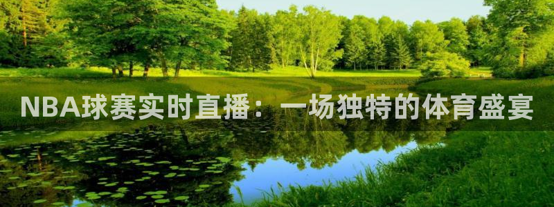 极速nba在线直播免费观看直播吧：NBA球赛实时直播：一场独特的体育盛宴