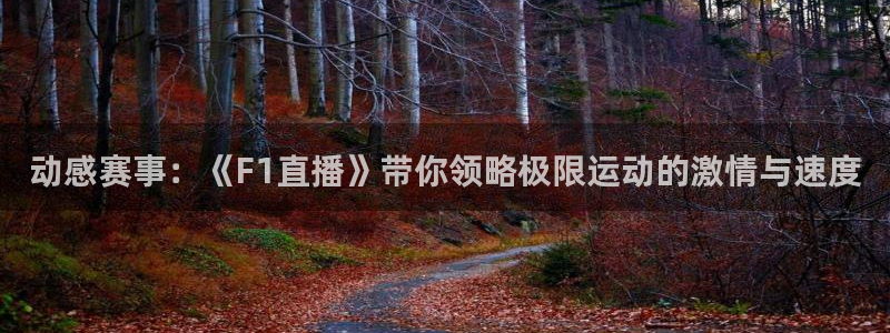 极速体育直播体育：动感赛事：《F1直播》带你领略极限运动的激情与速度