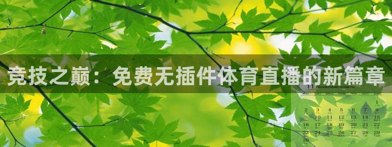 极速体育nba：竞技之巅：免费无插件体育直播的新篇章