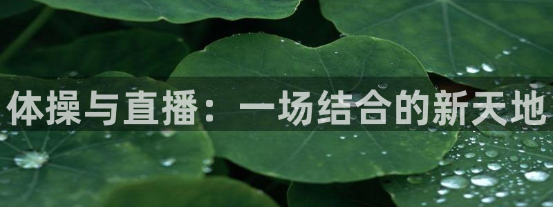 极速体育直播极速体育直播：体操与直播：一场结合的新天地