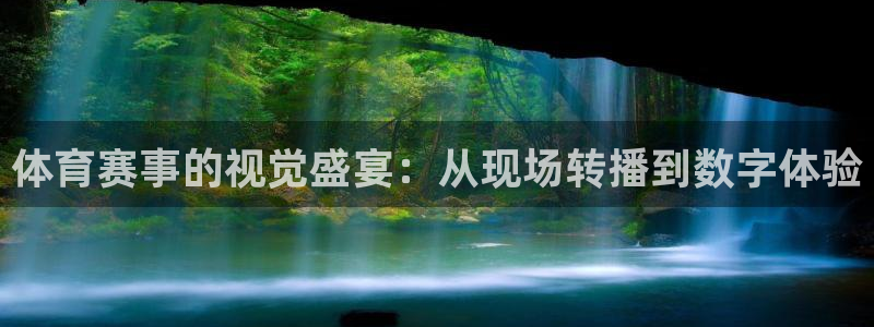 极速体育英超直播：体育赛事的视觉盛宴：从现场转播到数字体验