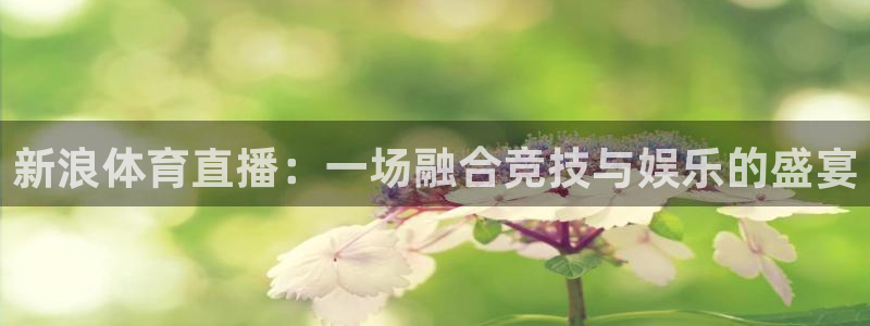 极速飞速体育直播吧体育直播：新浪体育直播：一场融合竞技与娱乐的盛宴