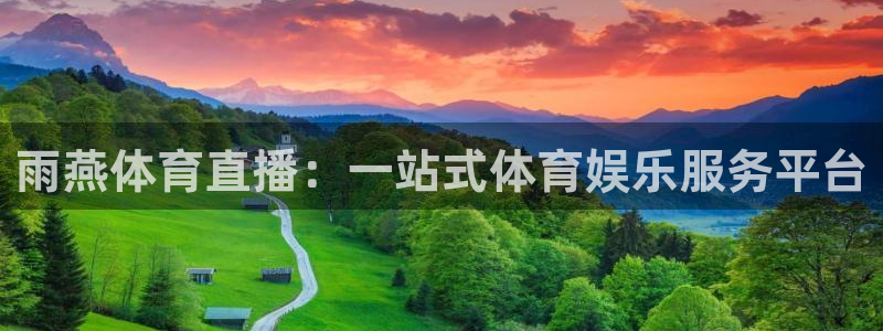 极速体育篮球免费直播：雨燕体育直播：一站式体育娱乐服务平台