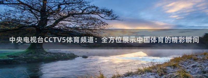 nba体育极速直播体育：中央电视台CCTV5体育频道：全方位展示中国体育的精彩瞬间