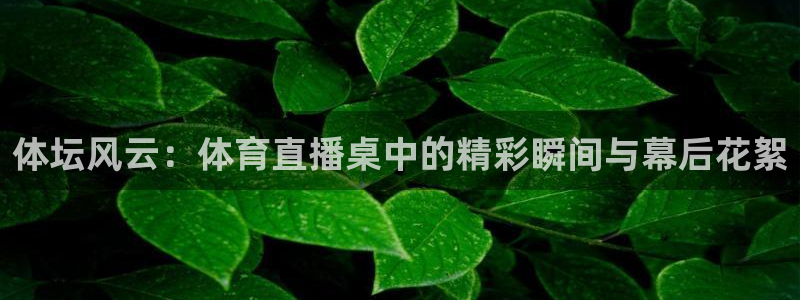 nba视频直播极速体育：体坛风云：体育直播桌中的精彩瞬间与幕后花絮