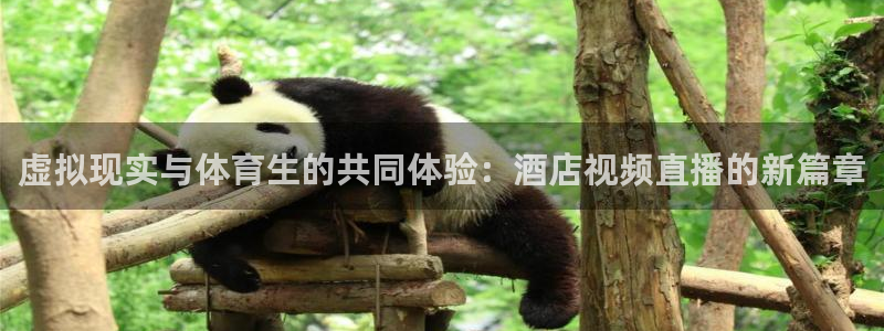 nba直播免费极速体育：虚拟现实与体育生的共同体验：酒店视频直播的新篇章
