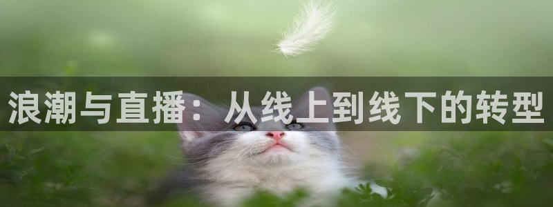 足球极速体育直播：浪潮与直播：从线上到线下的转型